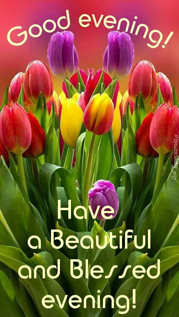 good evening images and quotes