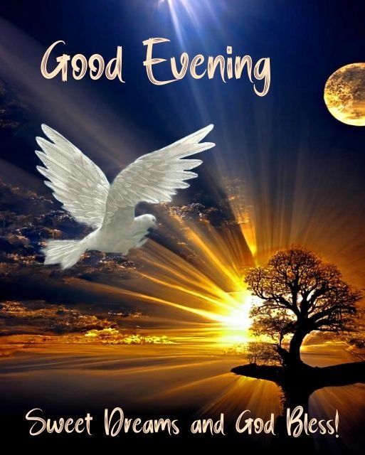 good evening images bengali