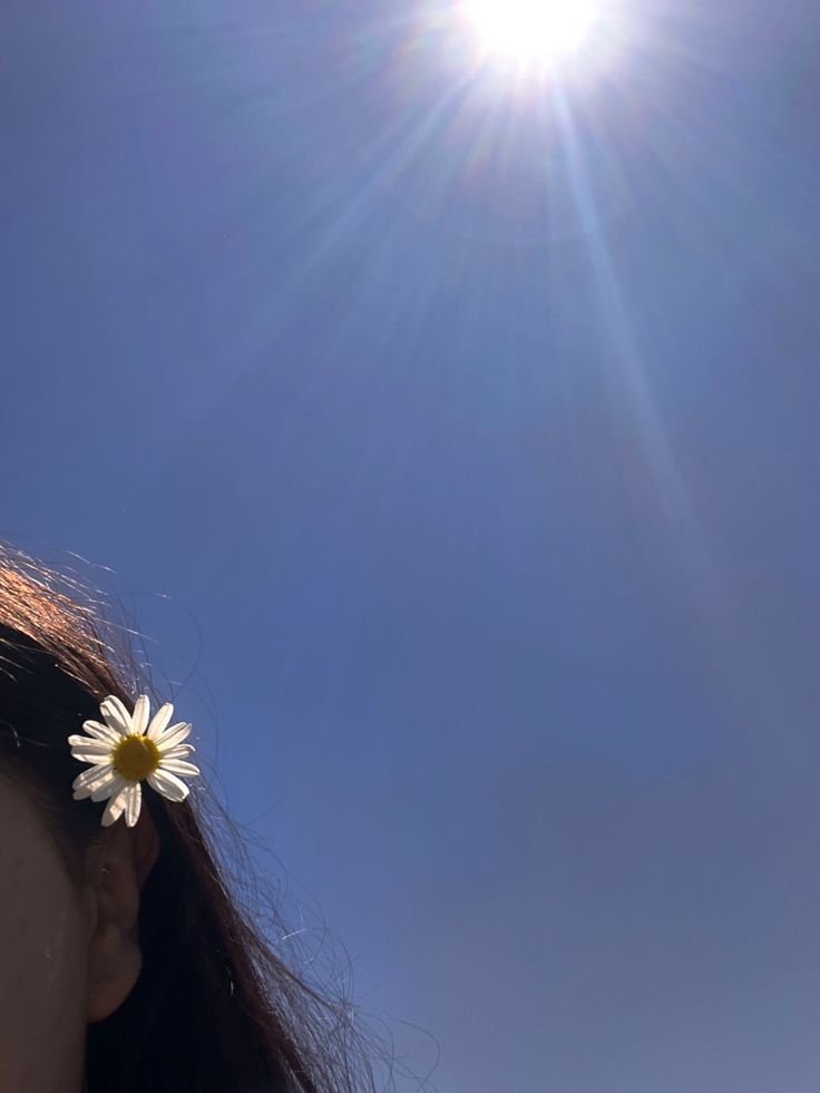 instagram dp download