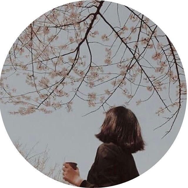 instagram dp download