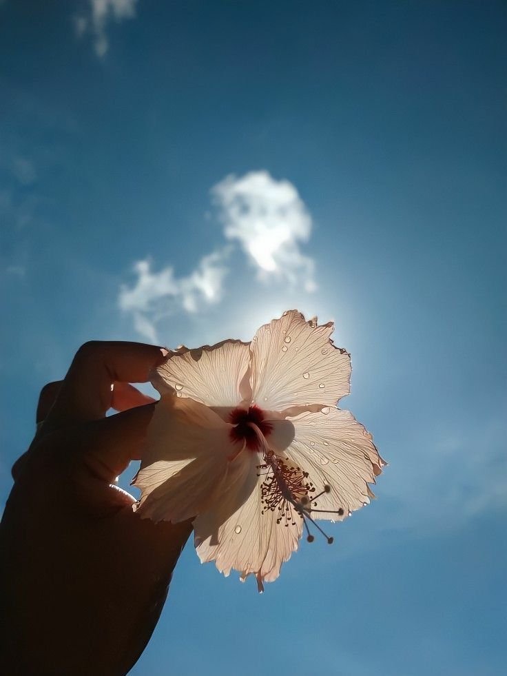 instagram dp for girls aesthetic