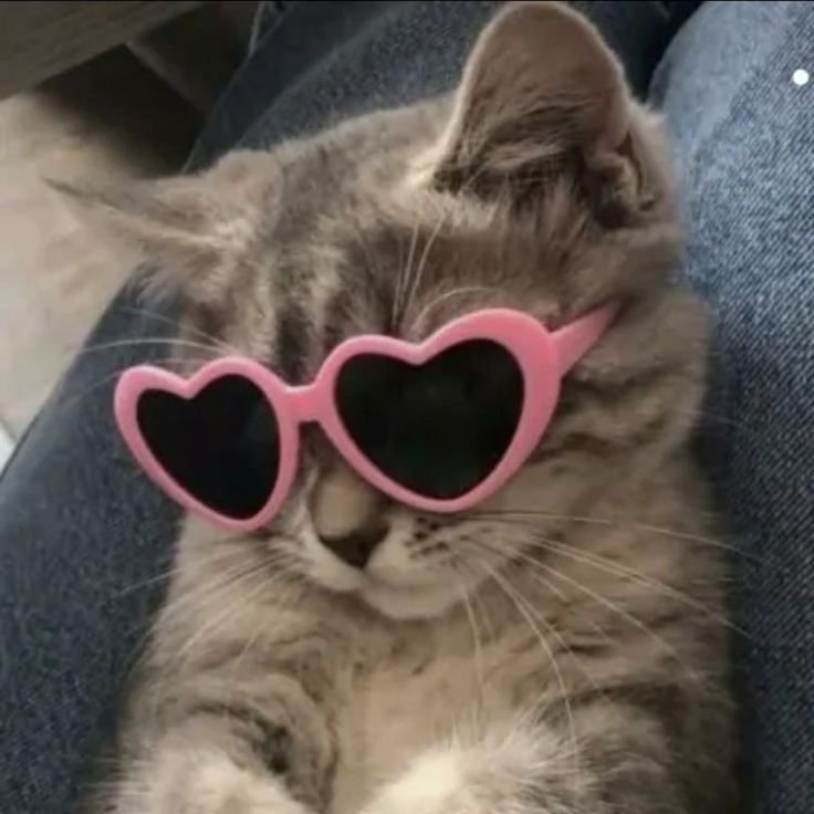 instagram dp photo love